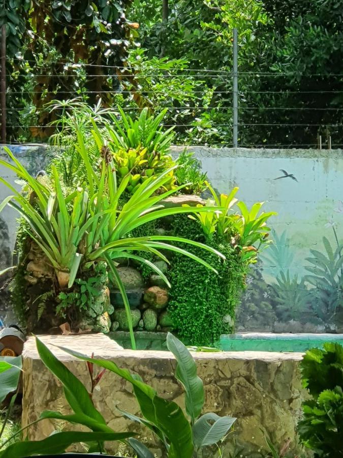 Hostal Nova Colonial Puerto Colombia Zewnętrze zdjęcie